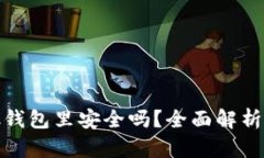数字货币放钱包里安全吗？全面解析与安全建议